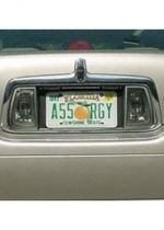 Assorgy License Plate