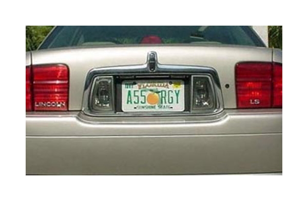 Assorgy License Plate
