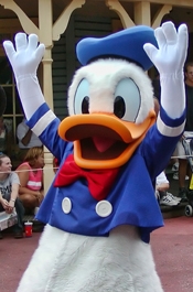 Donald Duck