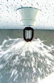 Fire Sprinkler