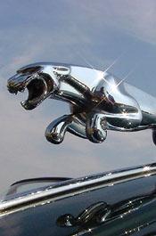 Plastered Jaguar Driver Offered Novel Excuse | The Smoking Gun