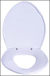 Toilet Seat